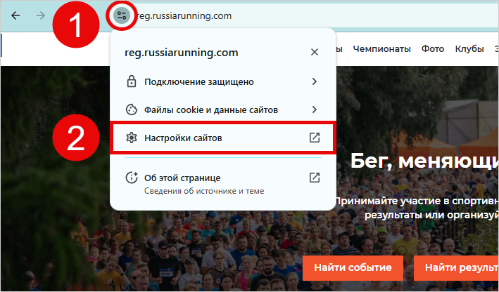 Сведения о сайте