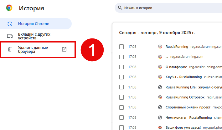 Удалить данные браузера